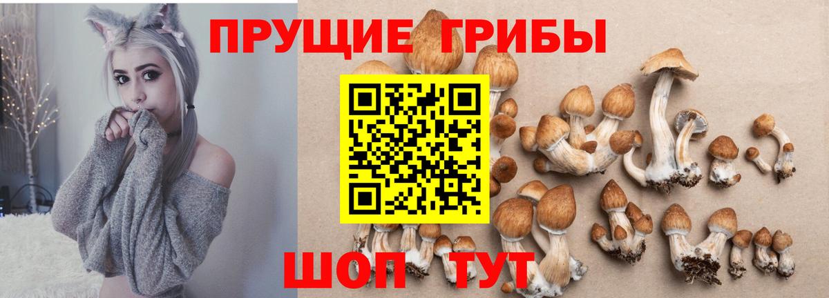 Великий Устюг  Галлюциногенные грибы мицелий  Вход с VPN 